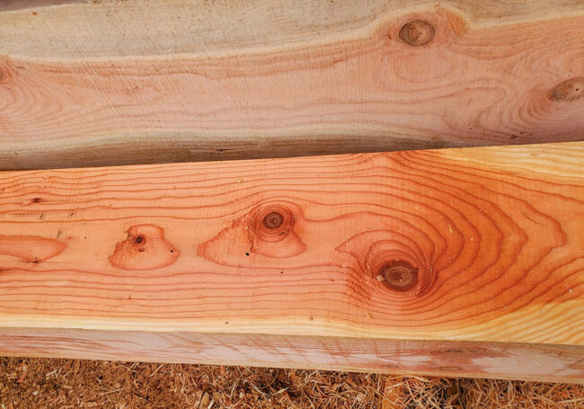 Western Red Cedar Vertical Grain Western Red Cedar Vertical Grain