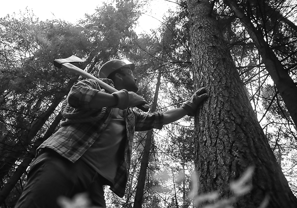 A Day in the Life of a Pacific Northwest Lumberjack A Day in the Life of a Pacific Northwest Lumberjack