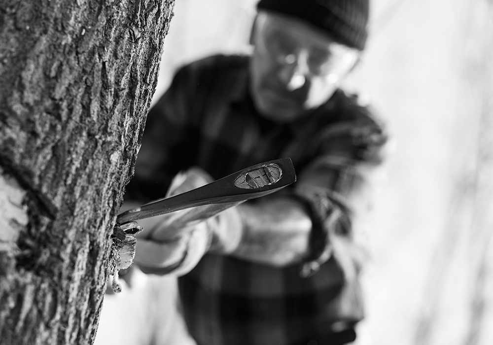 A Day in the Life of a Pacific Northwest Lumberjack A Day in the Life of a Pacific Northwest Lumberjack