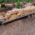 Cascade Handcrafted - Timber That Travels