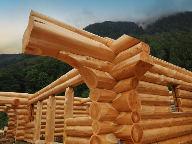 Log Home Packages